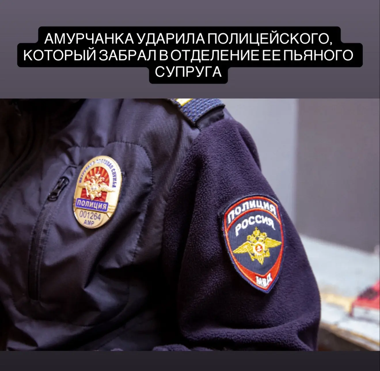 В Циолковском 46-летняя местная жительница напала на сотрудника правоохранительных органов и оказала