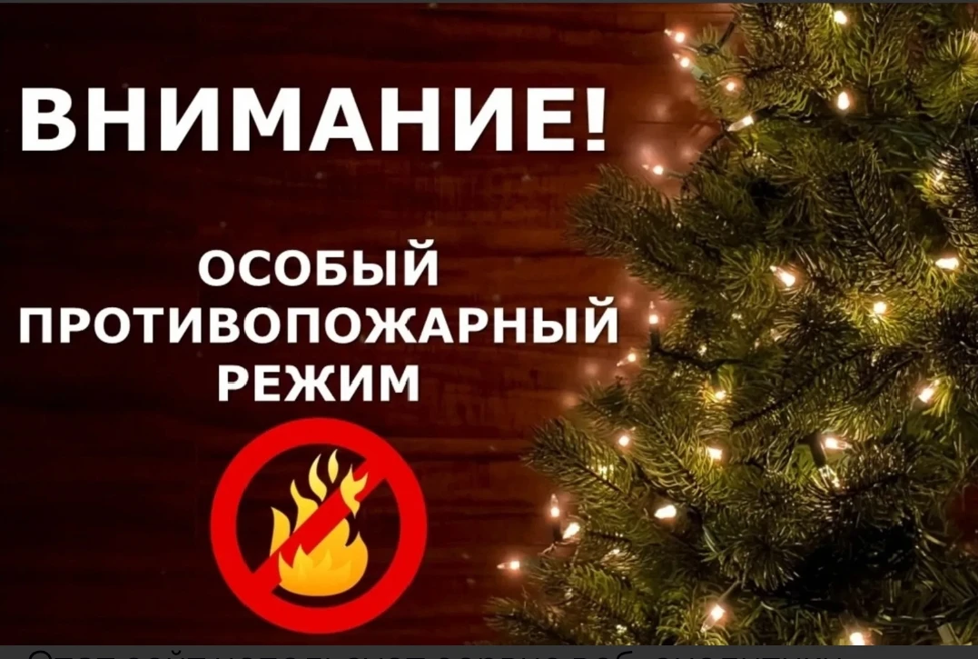 С 25 декабря 2025 года по 11 января 2026 года на территории Нижегородской области вводи...