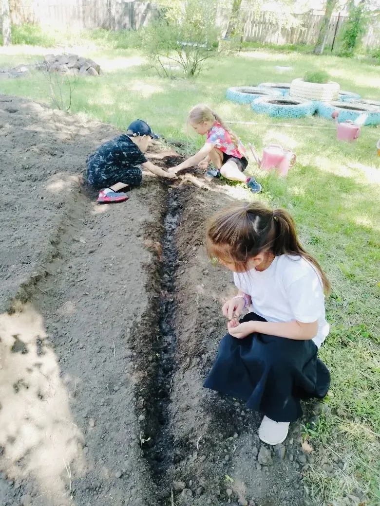 🌱 Мы с радостью продолжаем наш проект "Профессия на селе"! Дети подготовительной групп...
