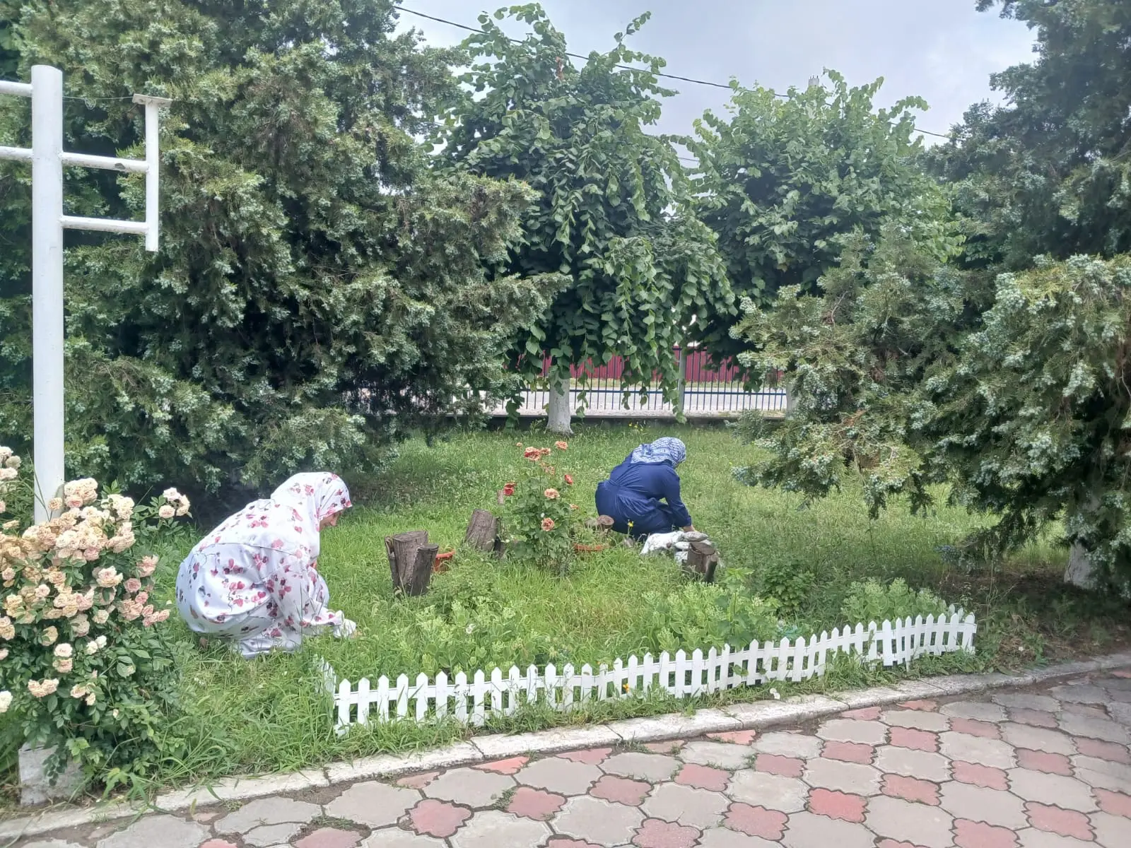 Сегодня в МБОУ "ООШ с. Чири-Юрт" прошел субботник, в котором активное участие приняли ученицы 9 клас