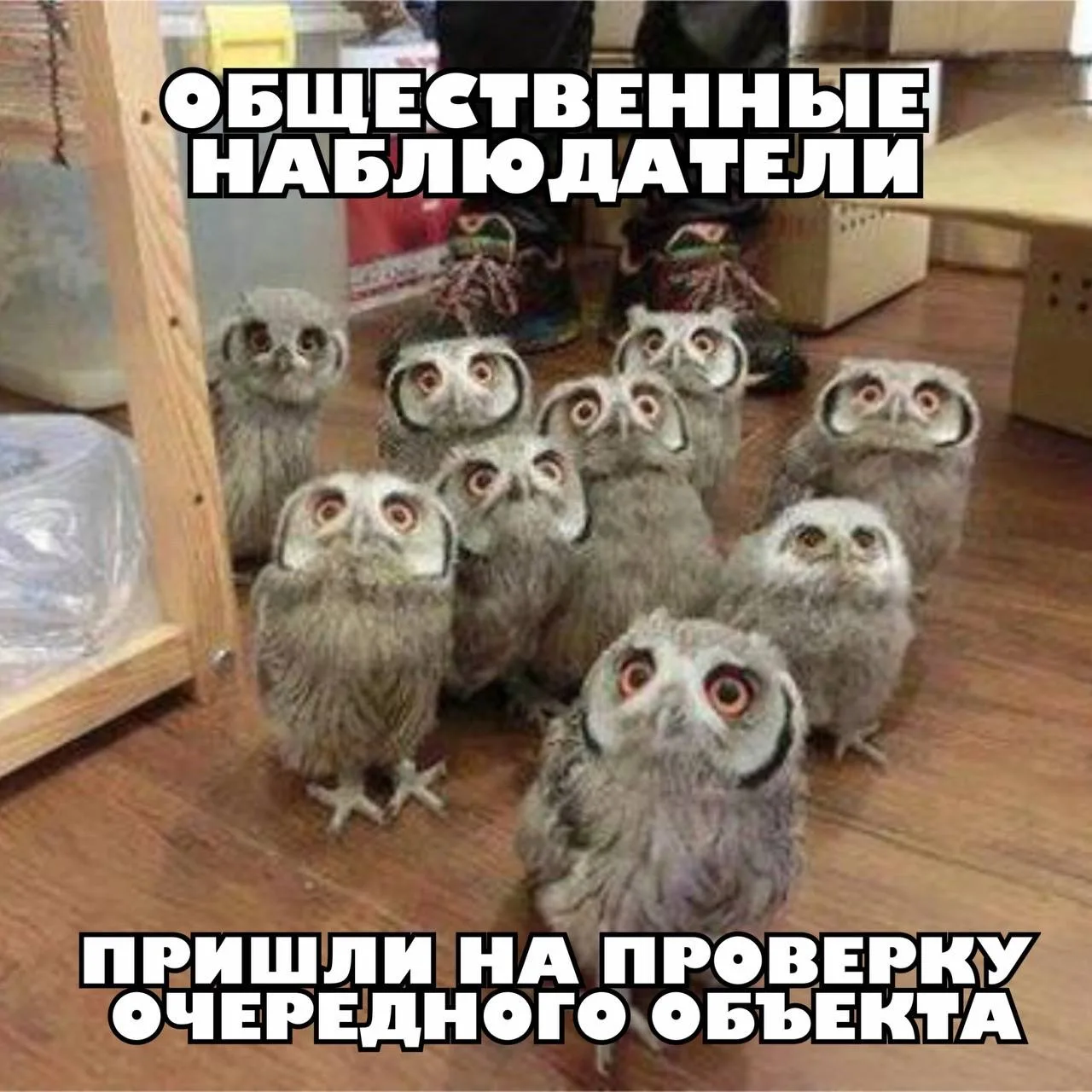 Ссылка на канал в МАХ: https://max.ru/m_chernosliv