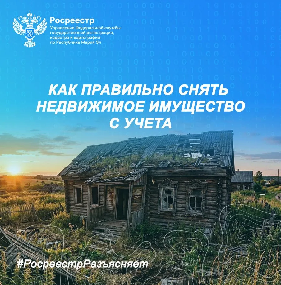 🌦 Добрый день, друзья!