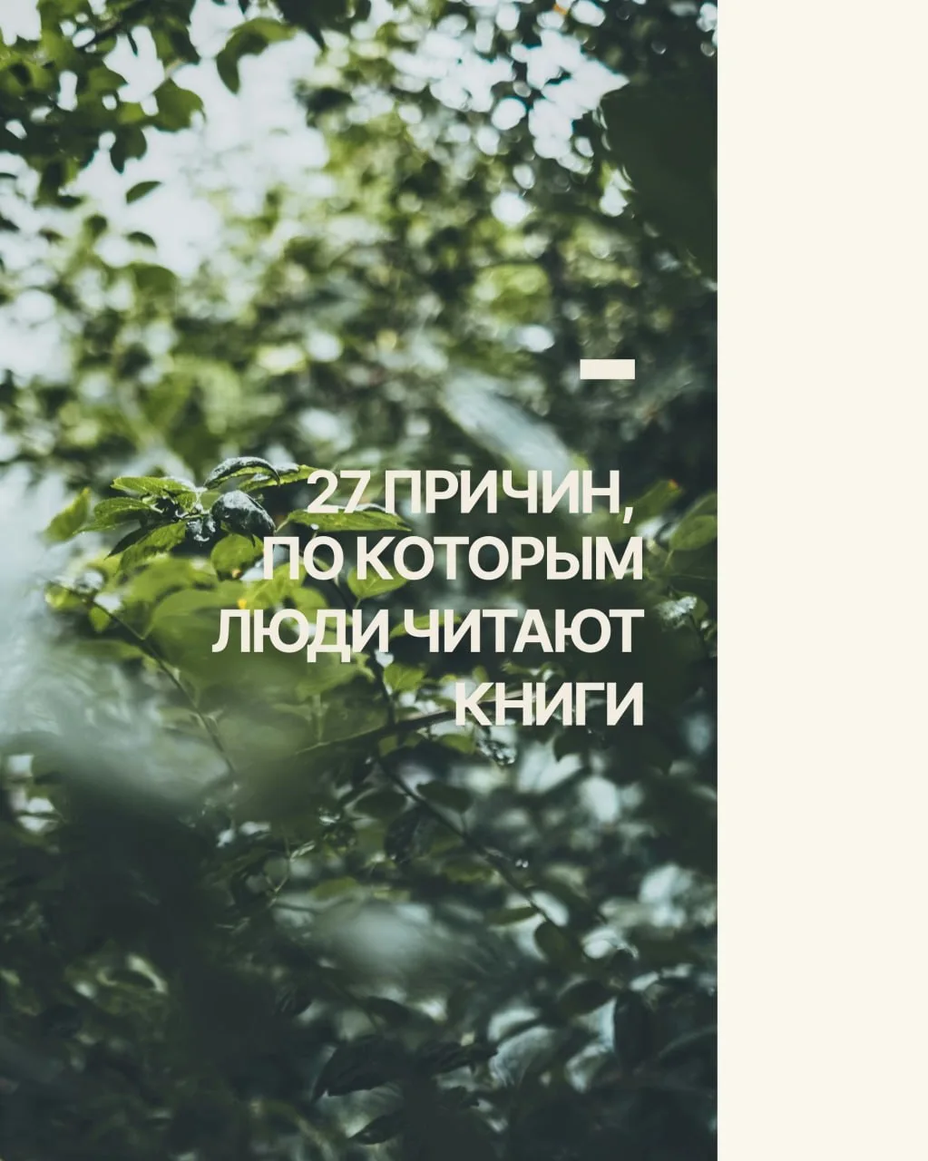 Почему мы читаем книги?