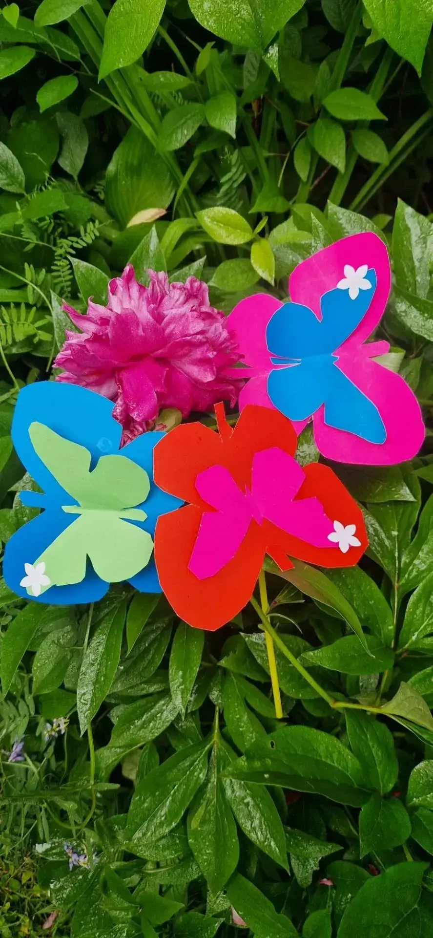 🦋 Волшебный день в мире бабочек!

В нашем ДО 5 прошёл незабываемый «День бабочек»! Этот праздник ст