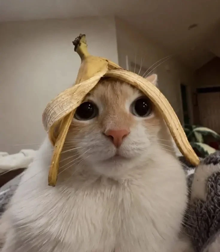 Аватарки с бананами🍌