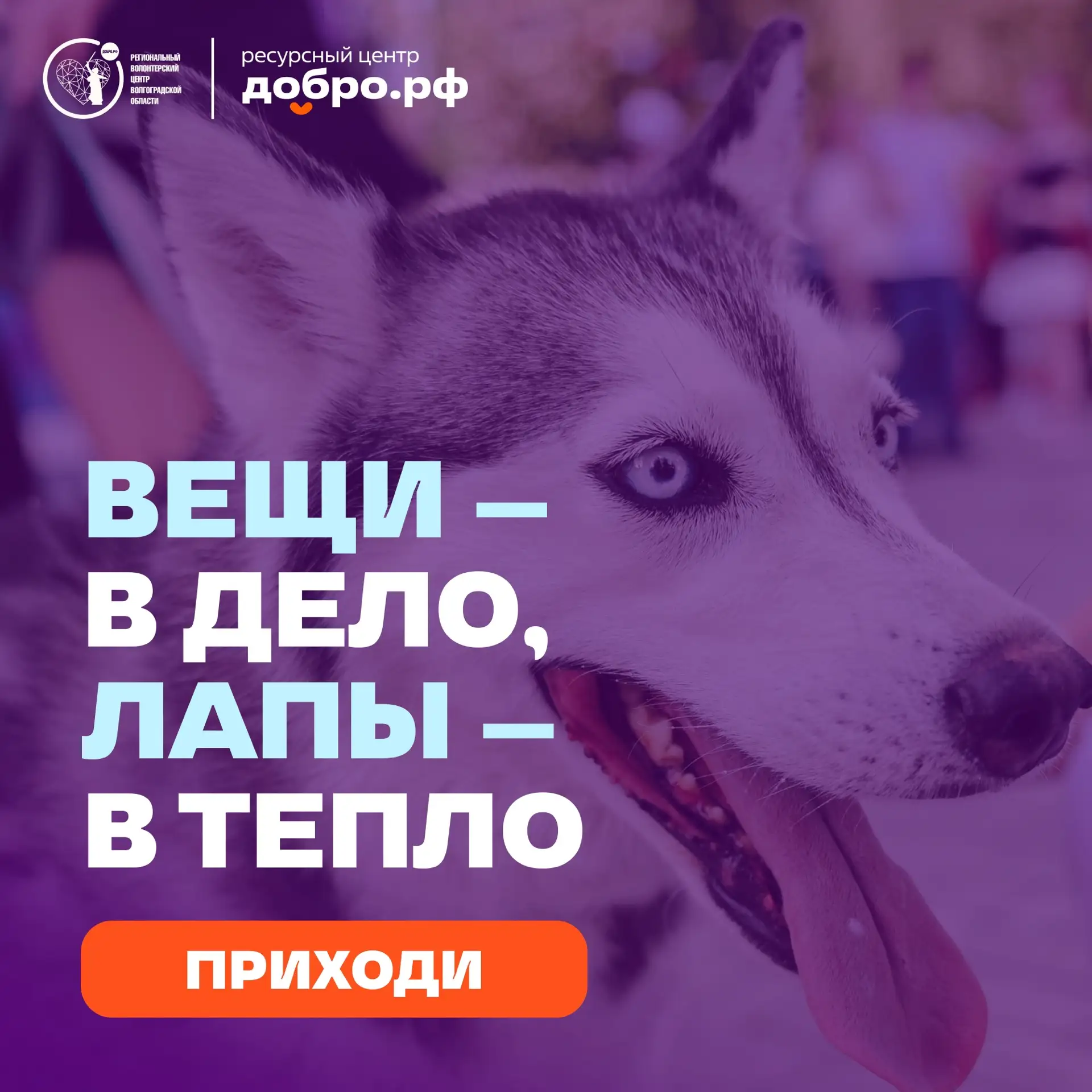 Шопинг, музыка и доброе дело – в эту субботу! 🛍🎧