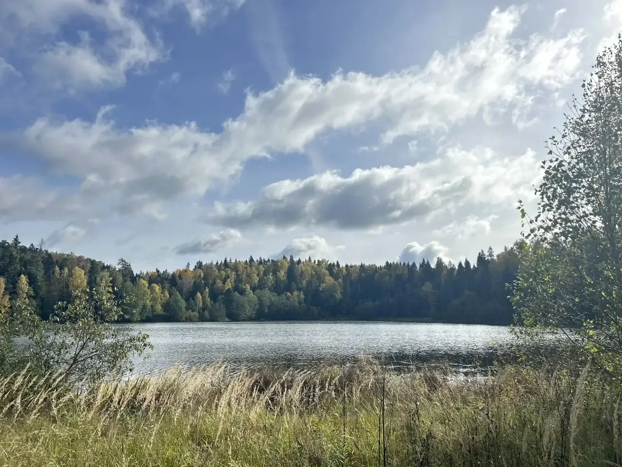 Какая замечательная природа у нас 😍
