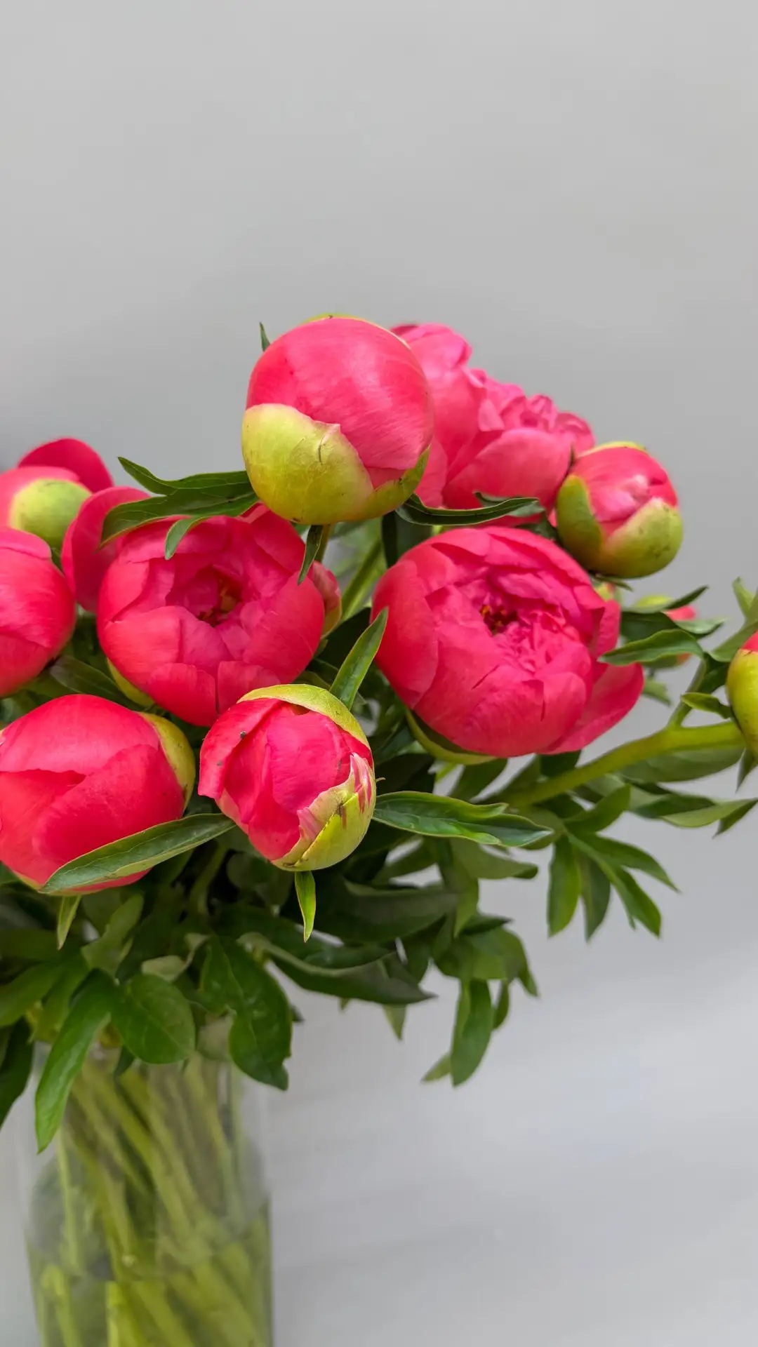 Ароматное счастье уже ждет! 🌸 Свежие пионы в наличии.
