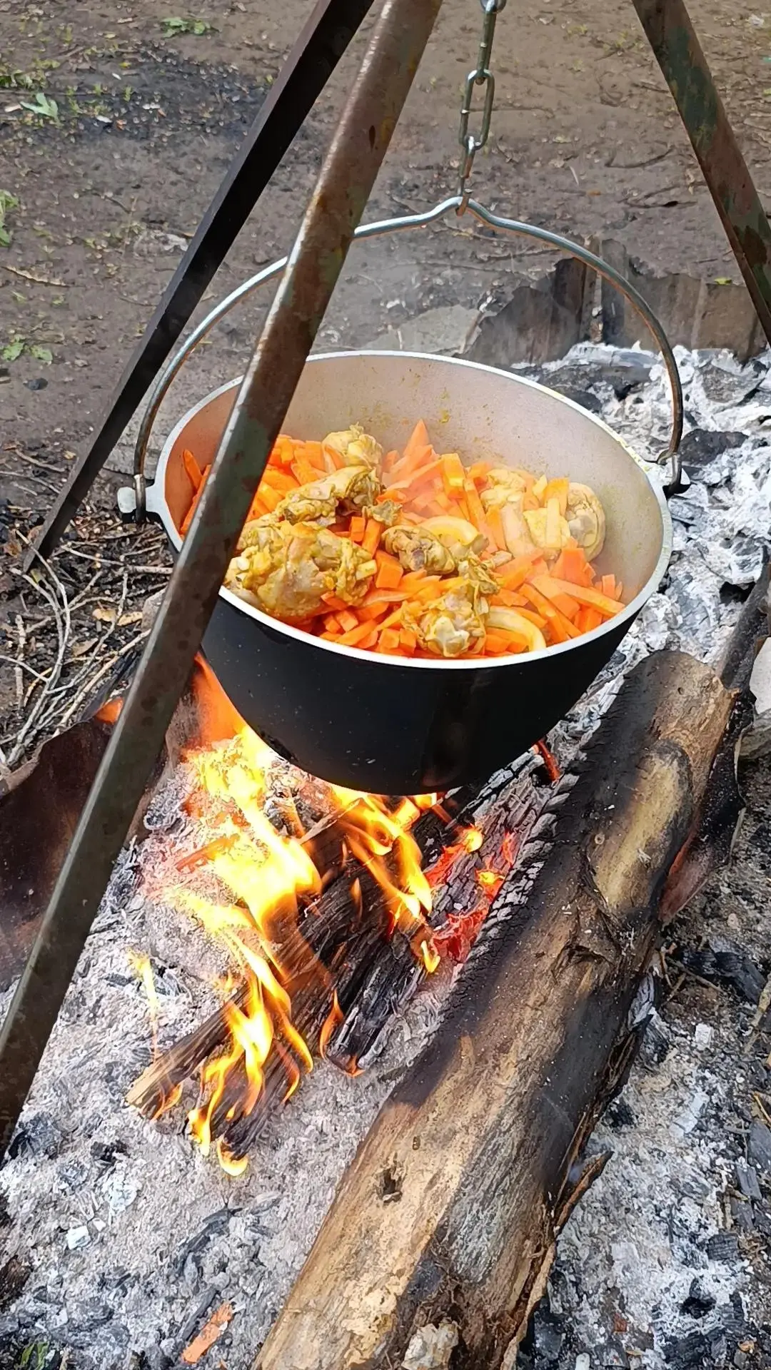 Лето подарило нам не просто каникулы, а настоящее маленькое приключение. Наш 7В класс в...