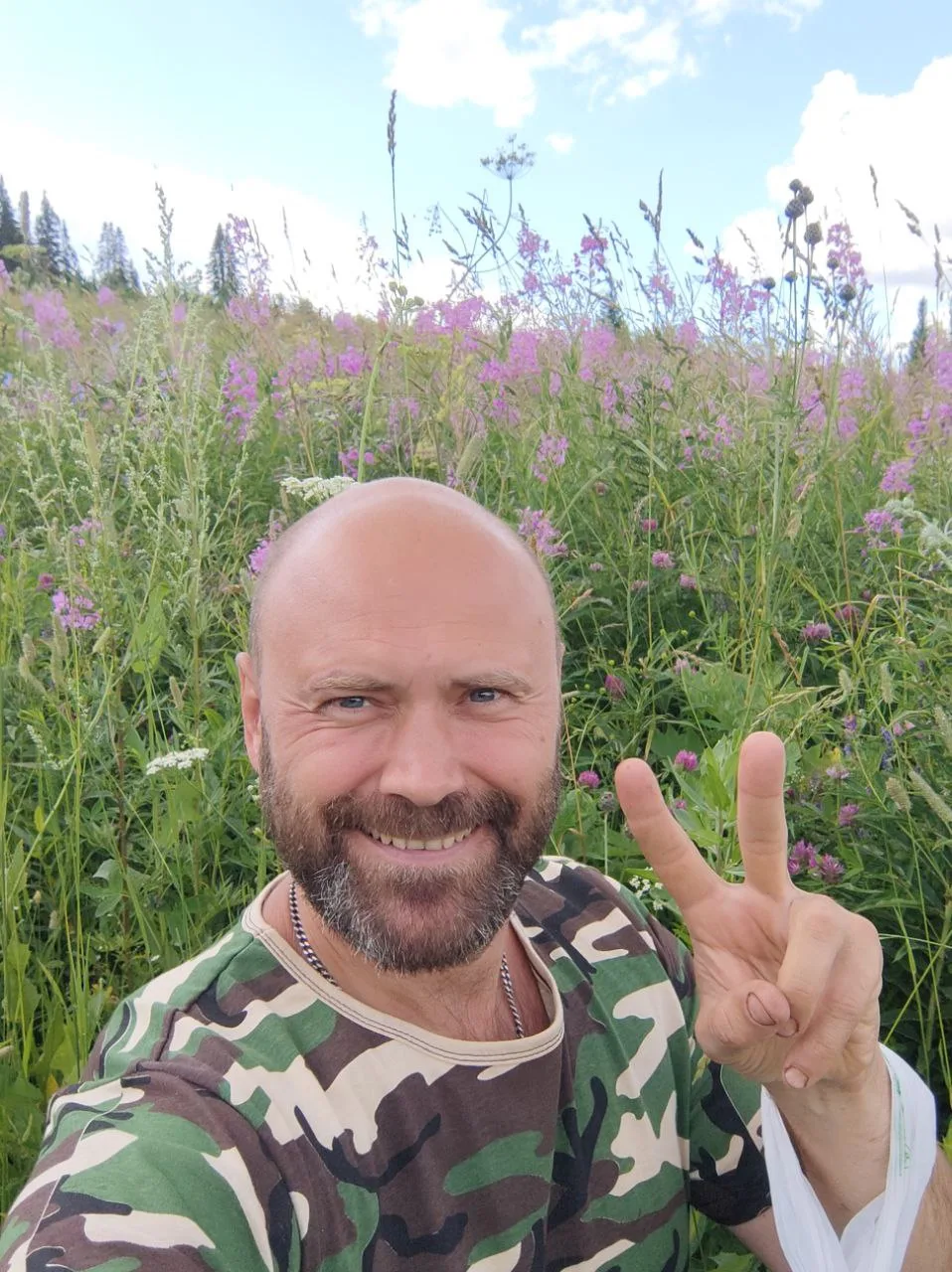 ‎✔️ Листья Кипрея узколистного