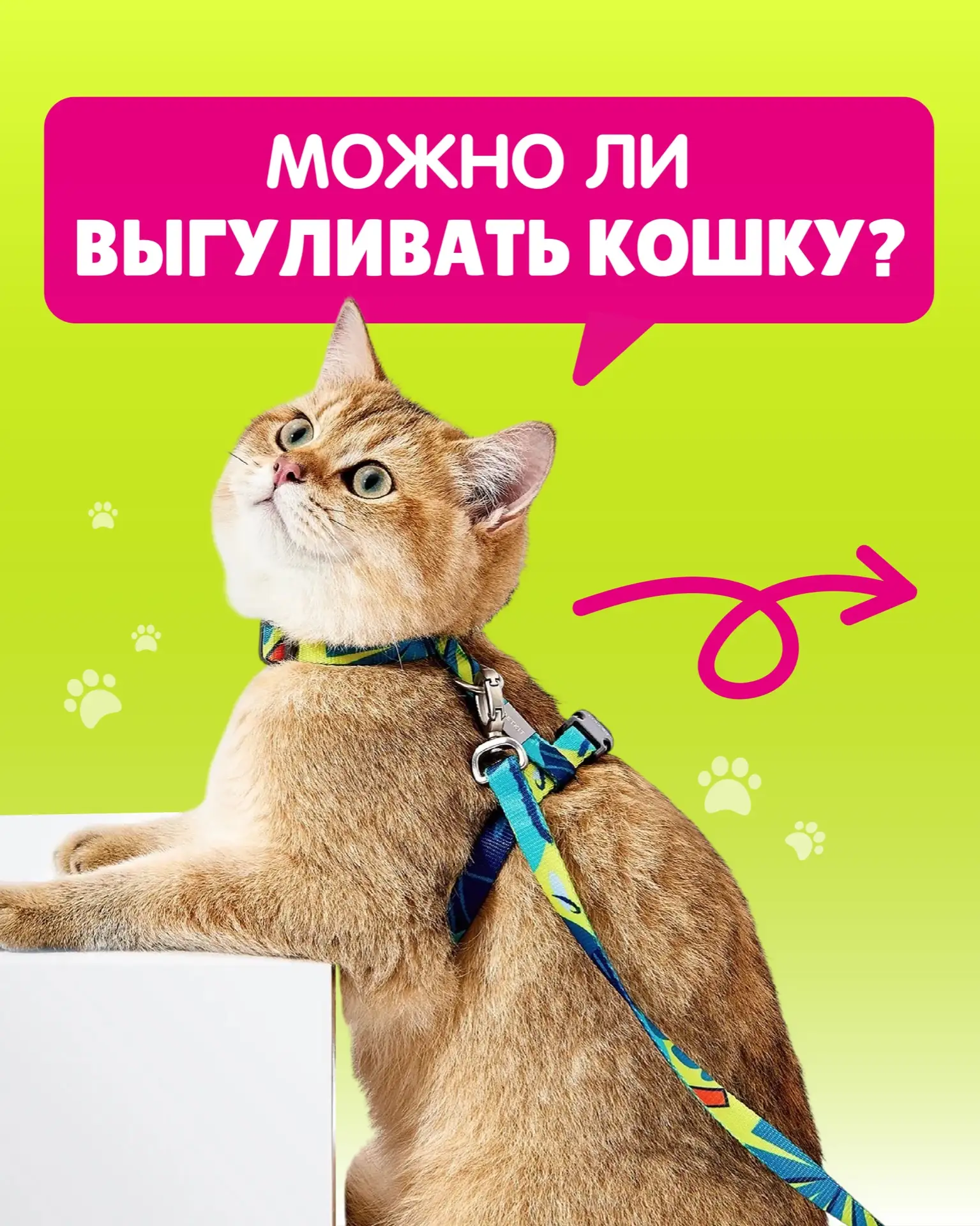 Майские праздники – время прогулок! 🐾