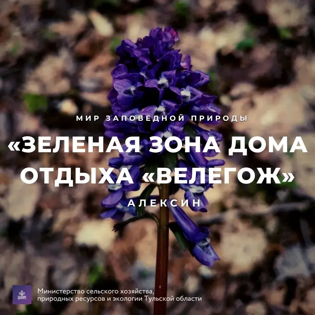 #Красотародногокрая