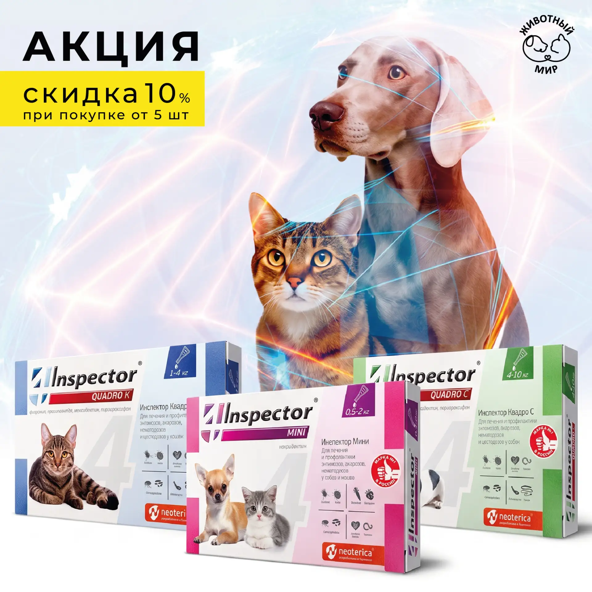 🛡Покупатели уже идут за защитой