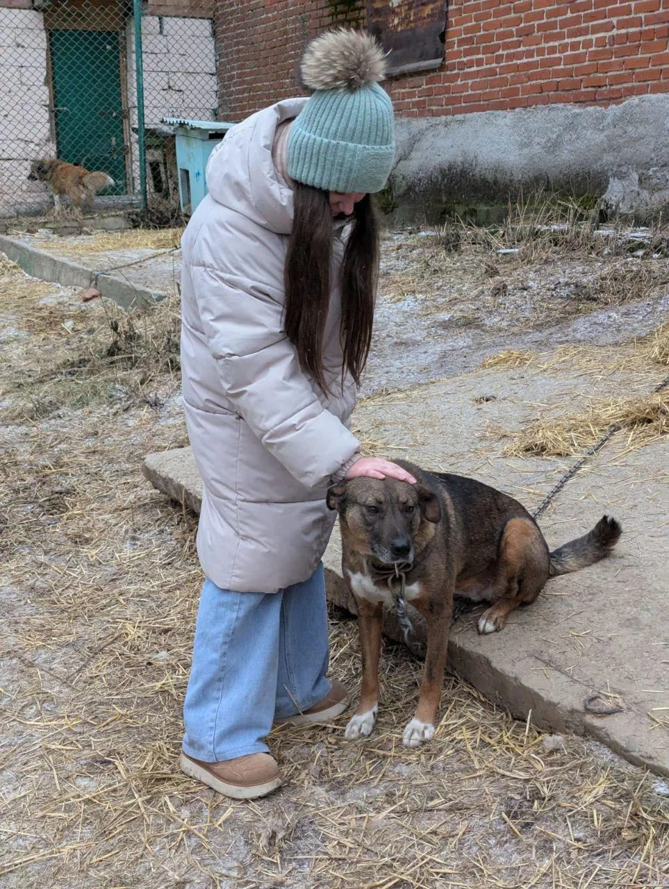 🐾 5 декабря в нашей школе состоялась благотворительная акция по сбору корма для бездомных животных «