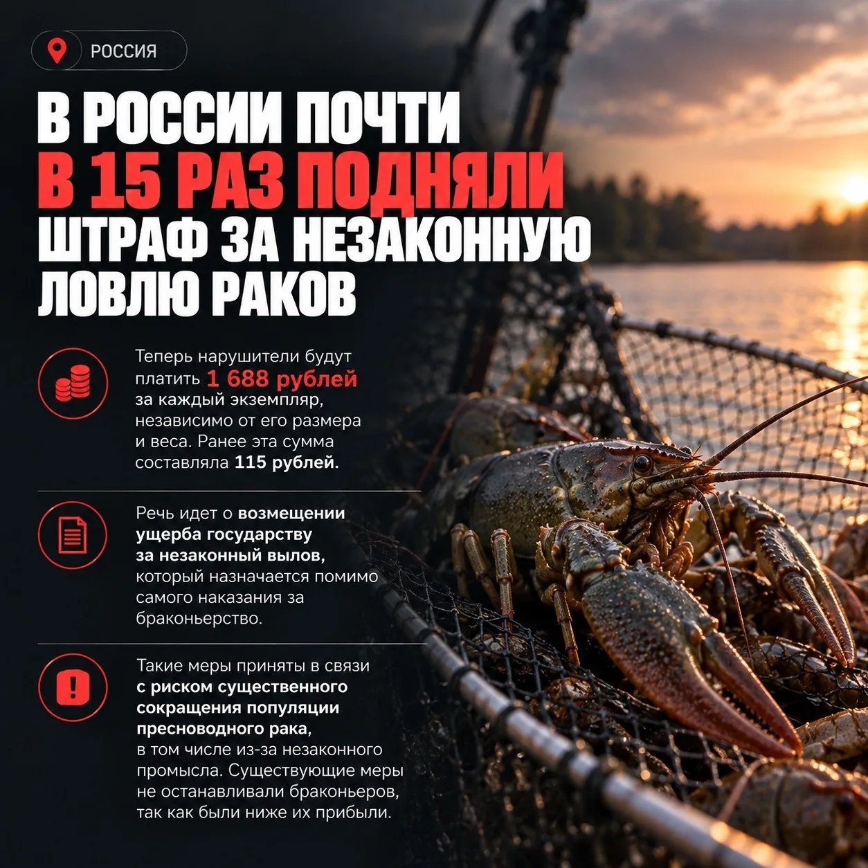 В России почти в 15 раз подняли штраф за незаконную ловлю раков