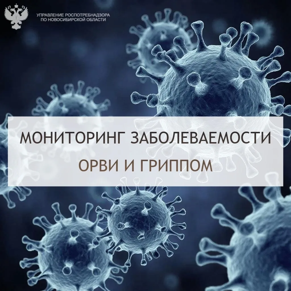 📅На 40 календарной неделе 2026 года (с 28.10.2026 по 04.10.2026) в Новосибирской облас...