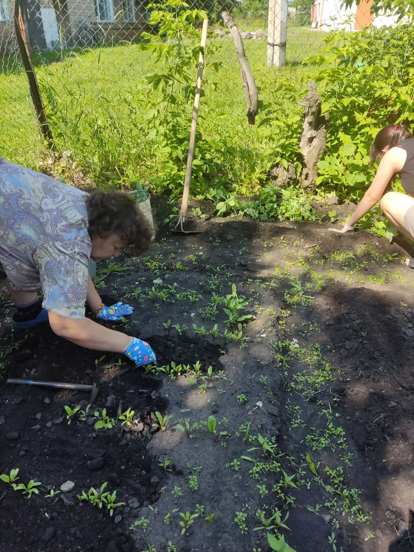 РУБРИКА 🌱 ПРО ПЕДАГОГОВ🌱

На грядках солнце засияло,
Работа дружно закипела.
Мы огород свой обновл