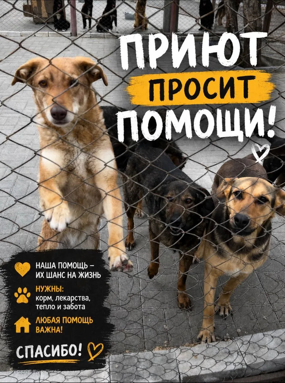 💔 ДРУЗЬЯ, МЫ ОЧЕНЬ ПРОСИМ О ПОМОЩИ… 💔