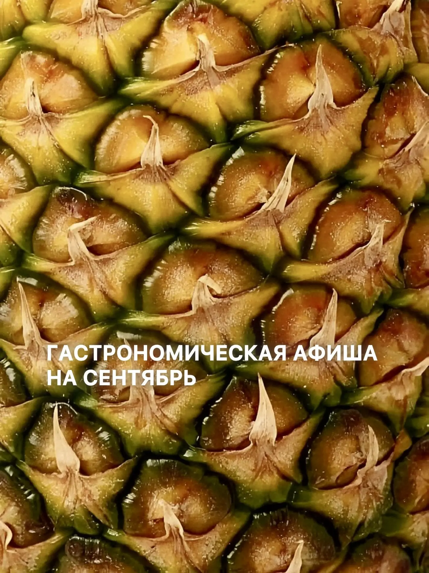 Каждую среду в сентябре мы приглашаем вас на особенные пикники на берегу моря, где эсте...