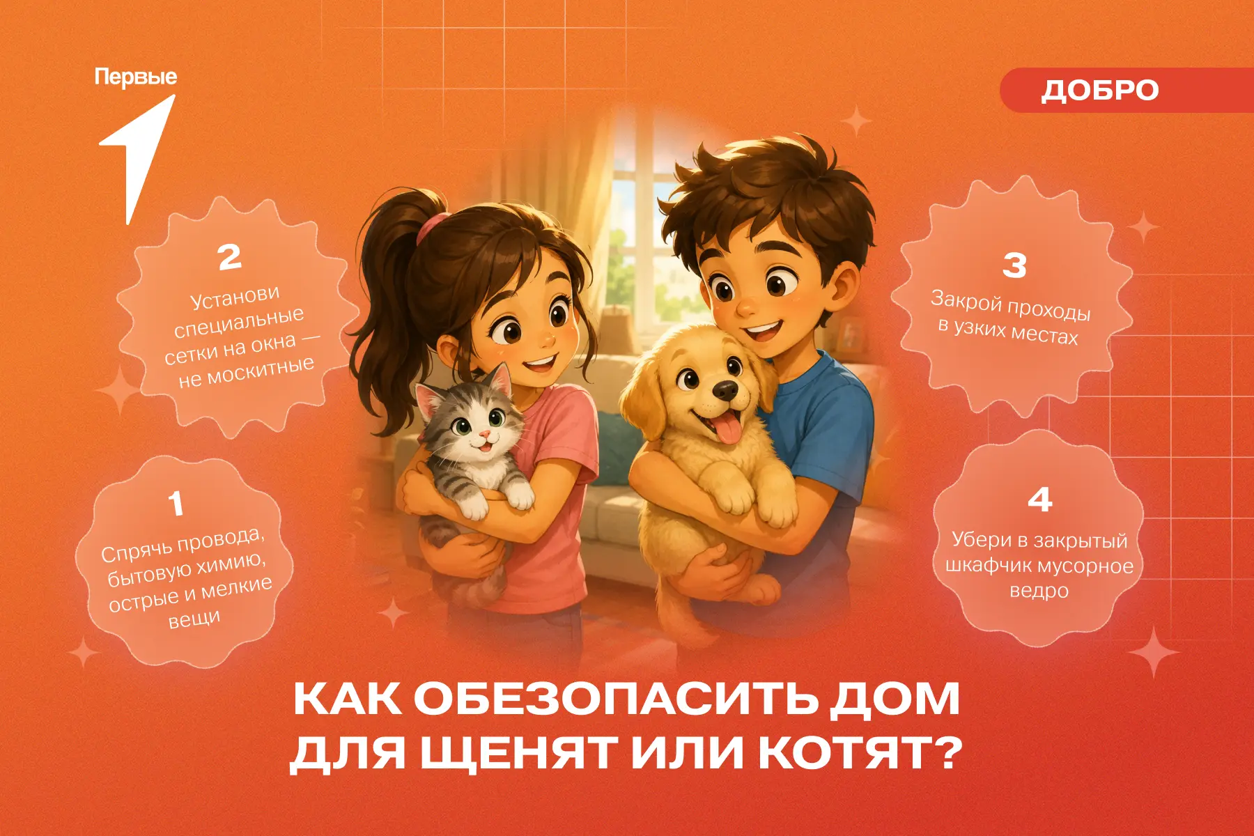 😸 В твоём доме появился пушистый житель? Подумай о его безопасности!