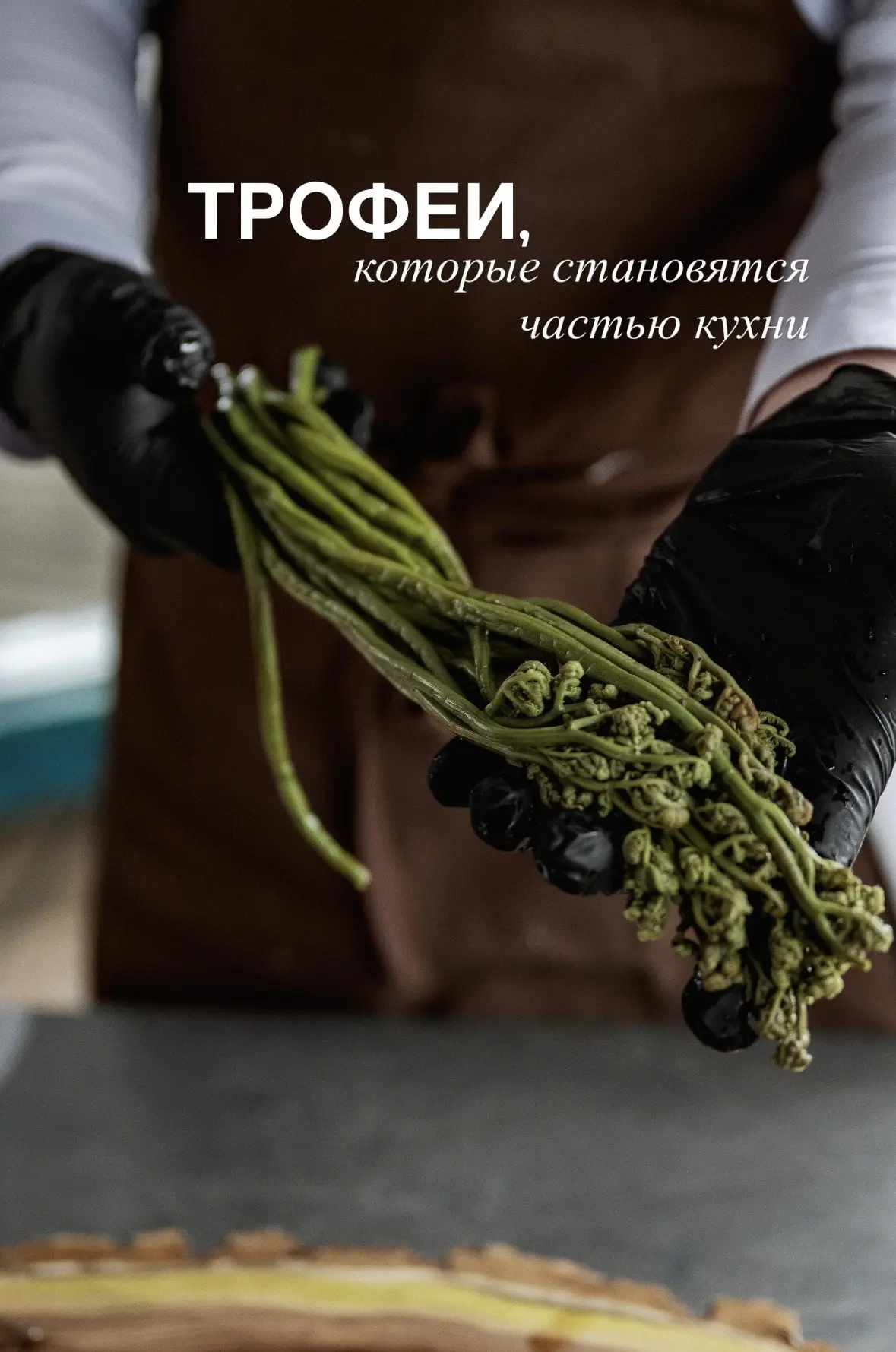 В основе нашей кухни лежит внимательное отношение к продуктам. Многие из них мы заготав...