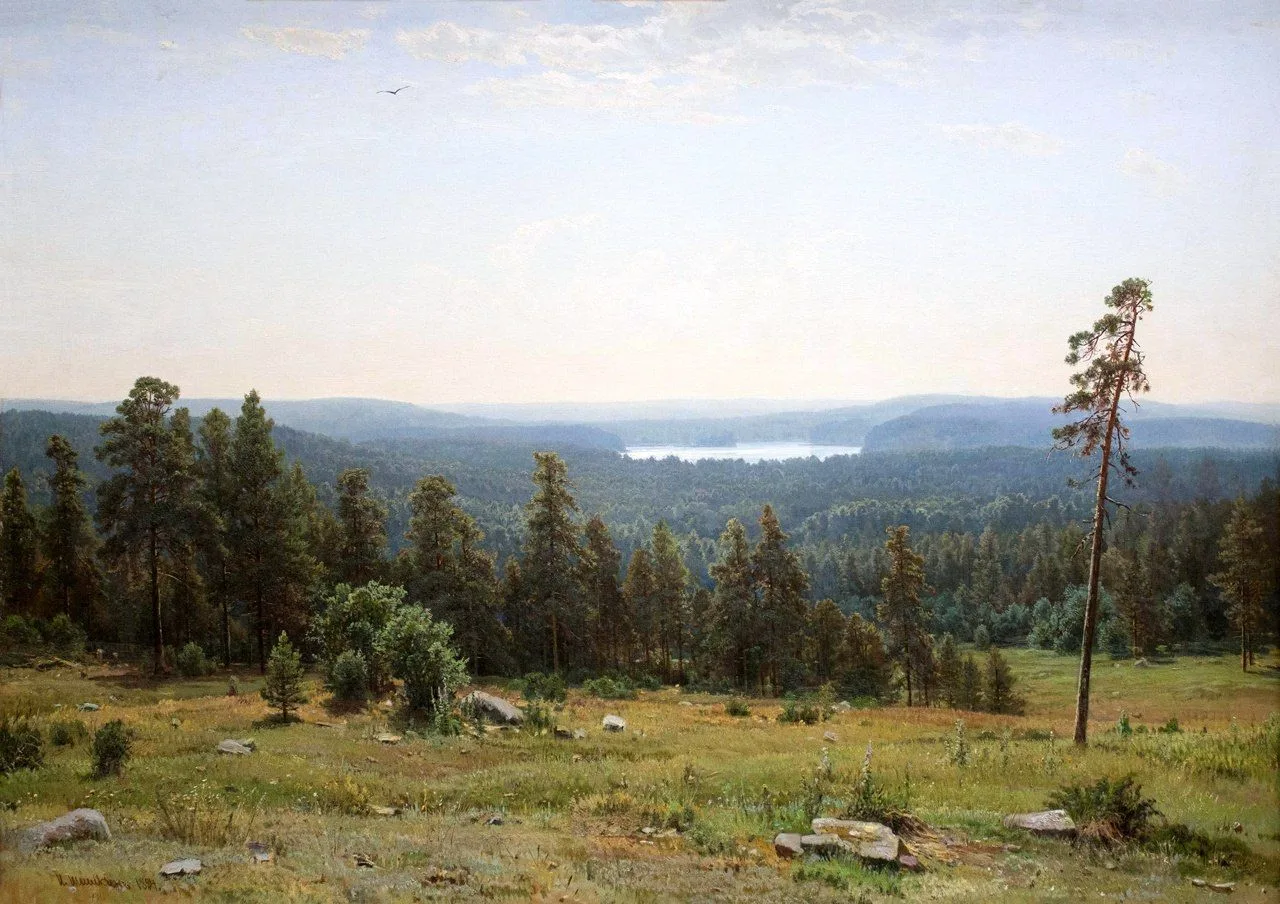 «Лесные дали», 1884.