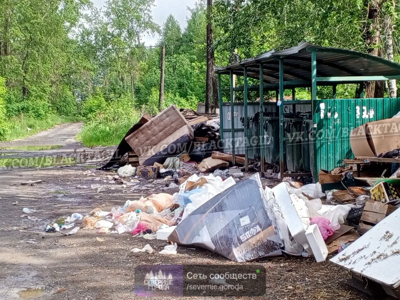 Опять одно и тоже. Люди ведут себя хуже свиней!