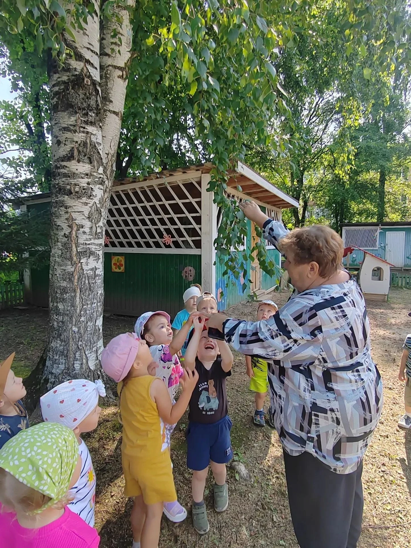 В рамках тематической недели «Люблю берёзку русскую!»  во второй младшей группе дети поближе познако