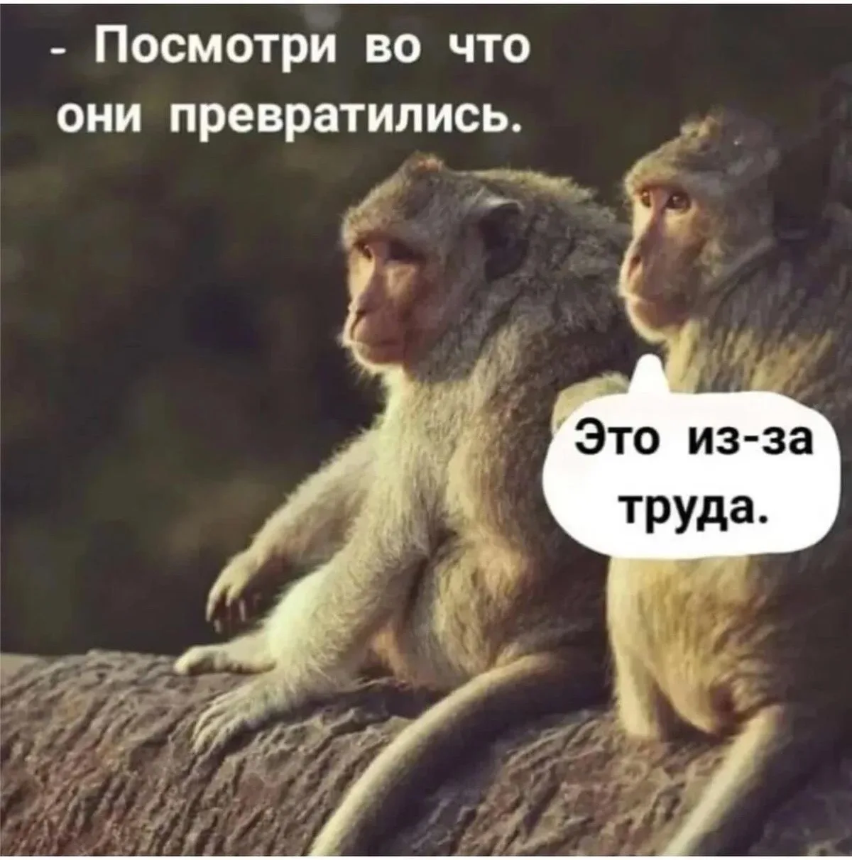 🤣 #юмор

🎉Календарные праздники🎉