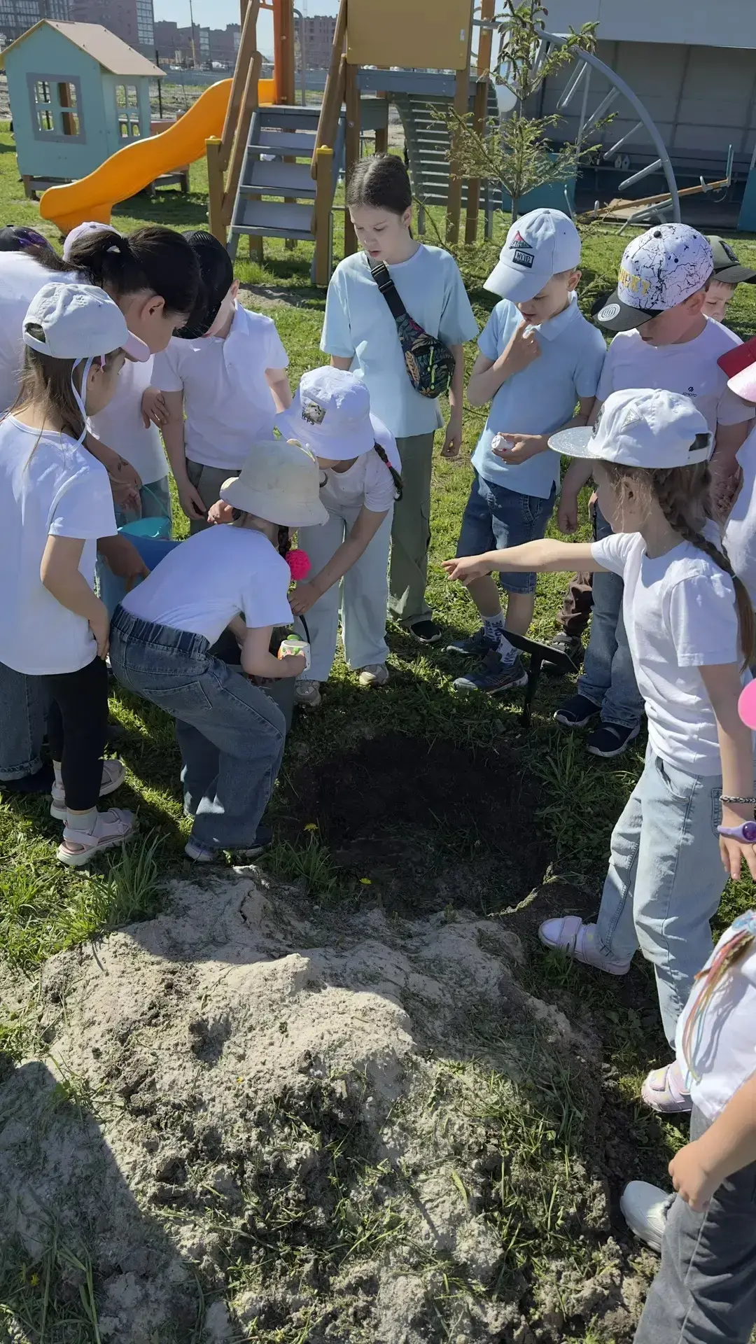 Сегодня, в этот праздничный первоиюньский день, в нашем саду зародилась прекрасная и оч...