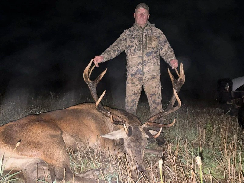 Трофей благородного оленя