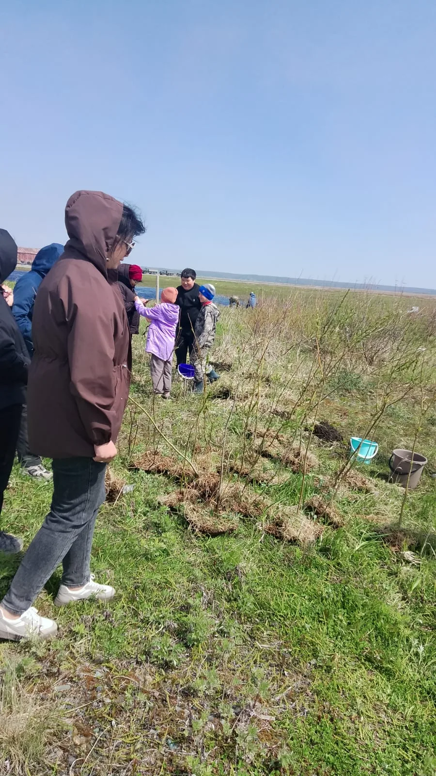 11.06.2026 года библиотека совместно с центром досуга провели традиционную зелёную акци...