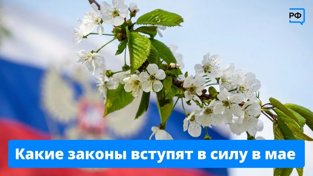 🗓 Единое пособие смогут получать больше многодетных семей, автошколам начнут присваива...