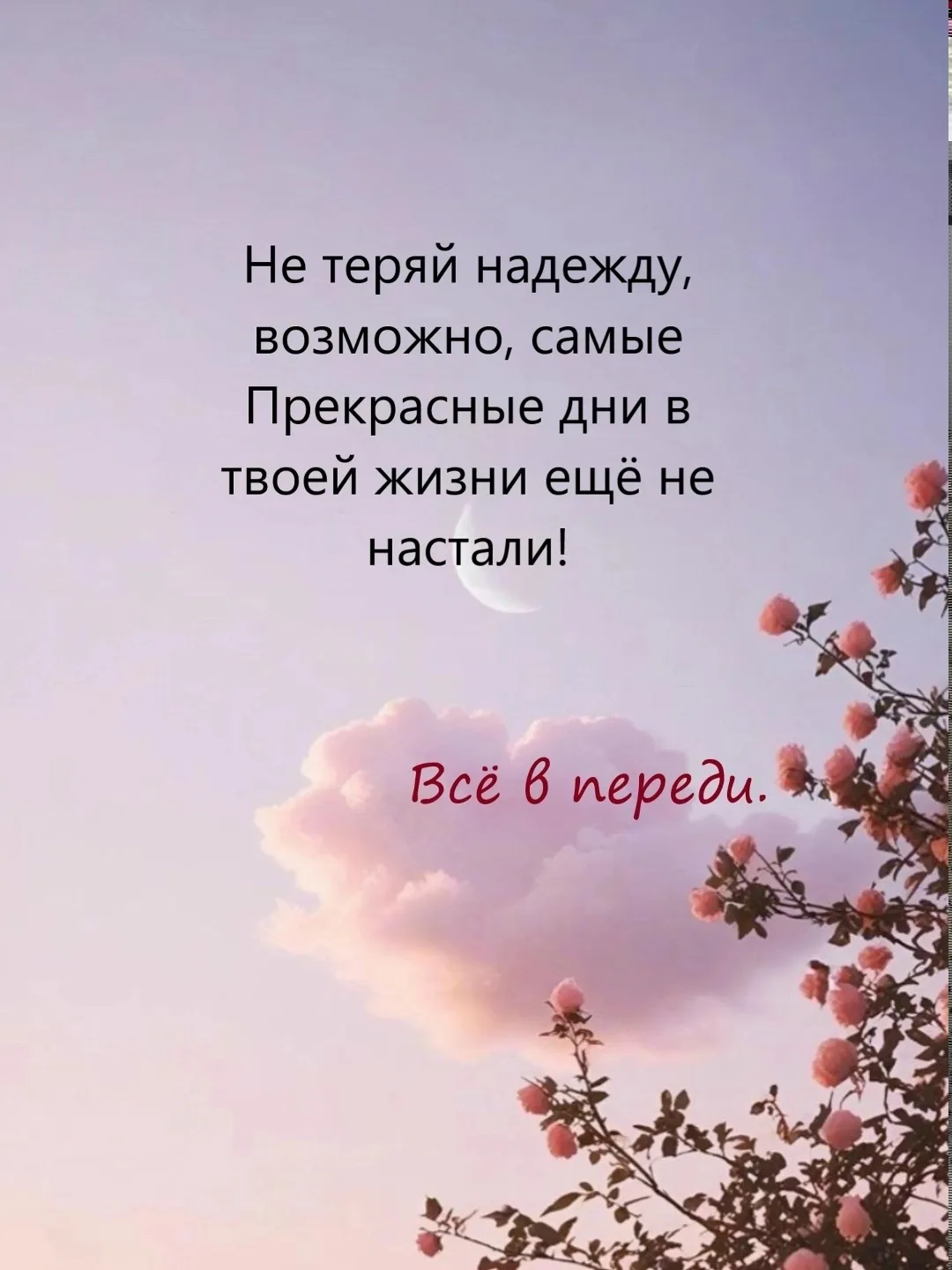 Цитаты жизни