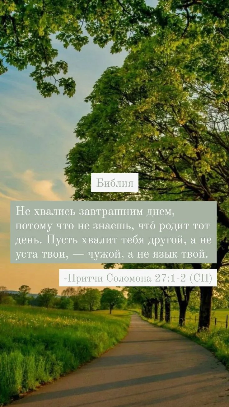 Библия на каждый день