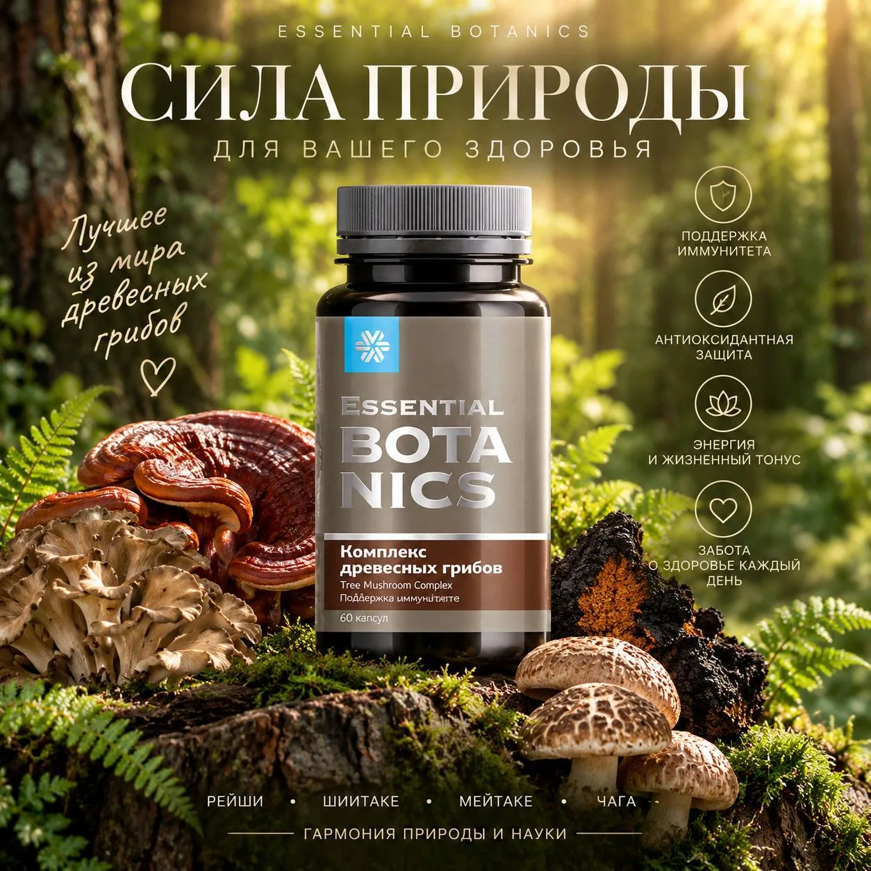 Все эти удивительные свойства древесных грибов учёные ИЗУЧИЛИ, выделили из них ценные к...
