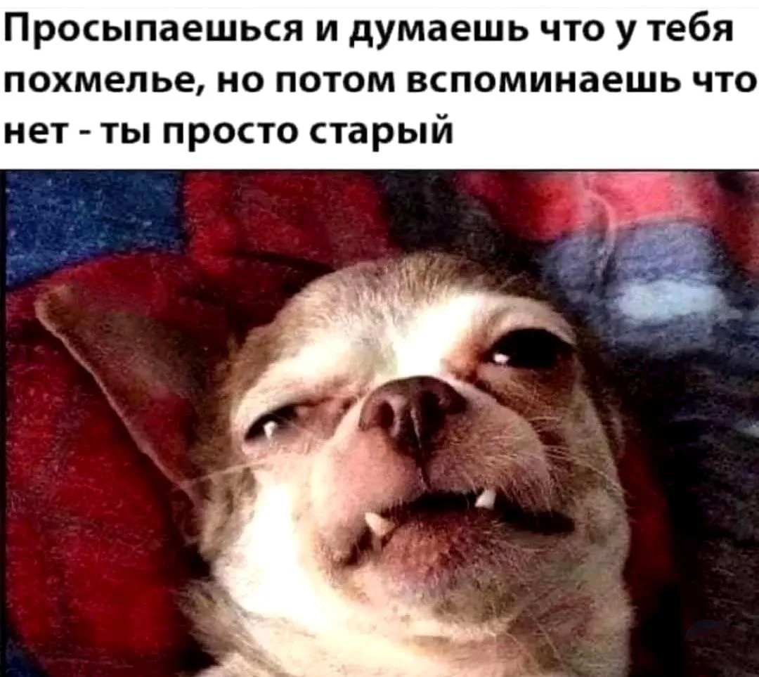 Наш канал ЛУЧИК РАДОСТИ ✨