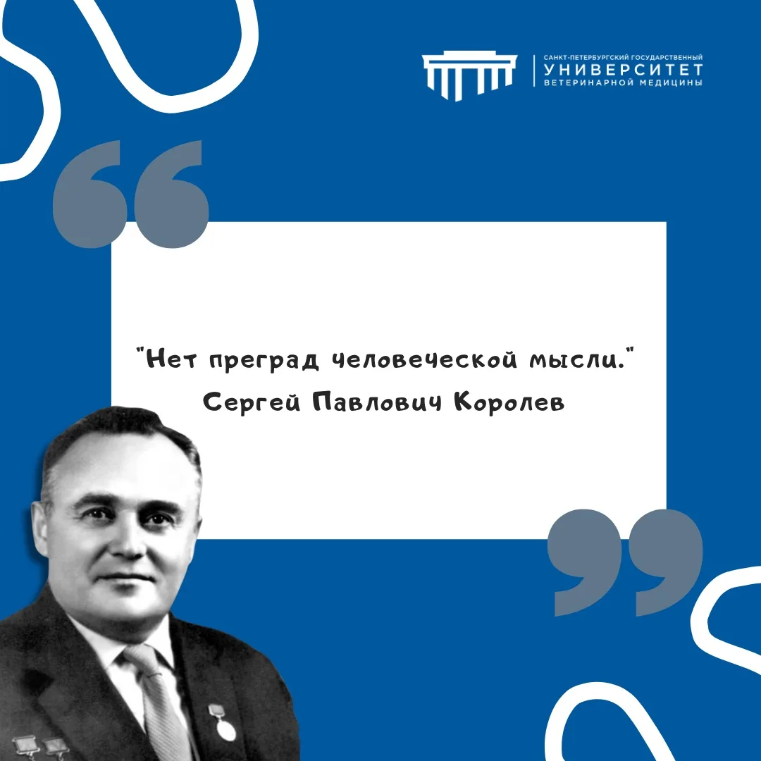 #фразадня #СПбГУВМ