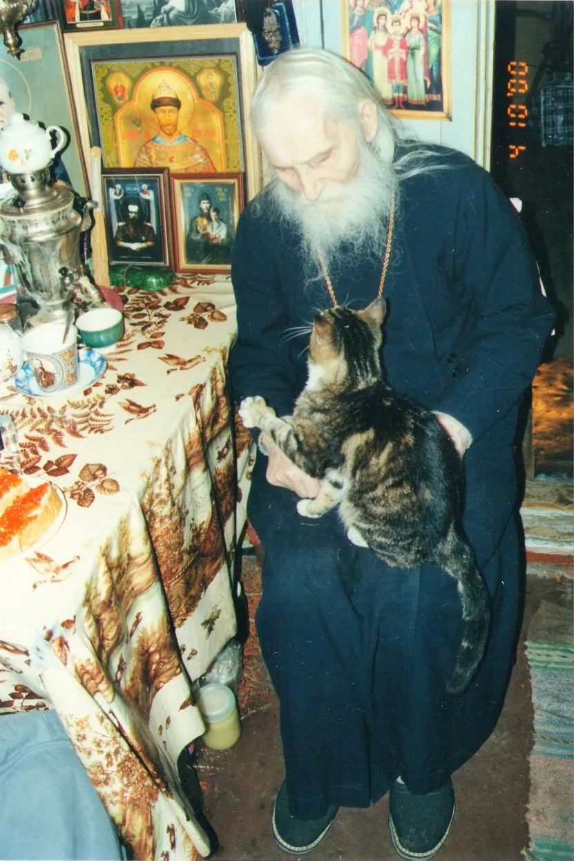 Есть святой, которому молятся о больных кошках. Его зовут Нектарий Оптинский — последний великий ста