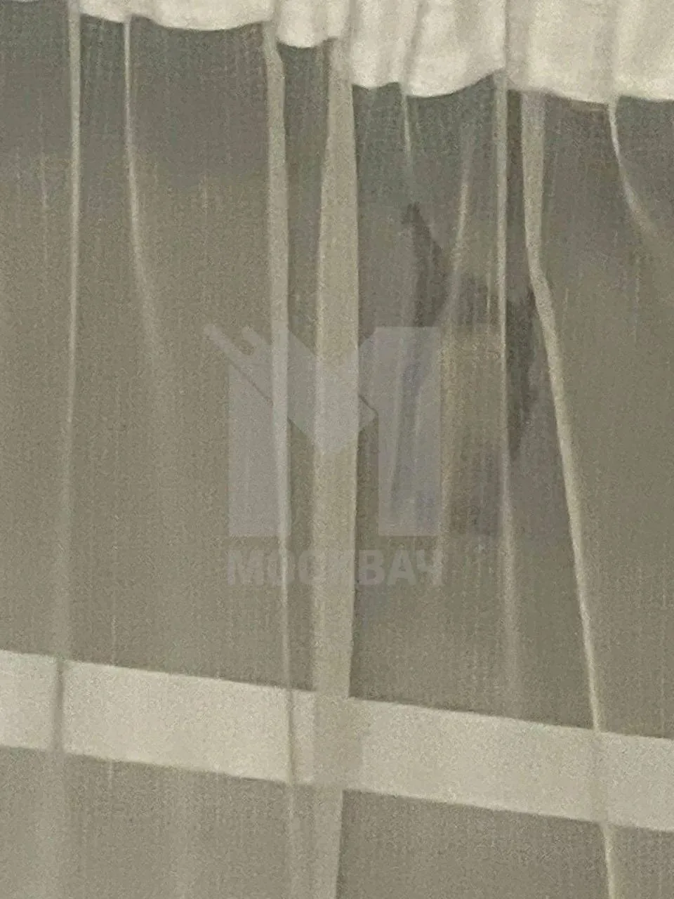 🦇В Медведково к девушке два дня подряд в окно залетают летучие мыши по вечерам — снача...