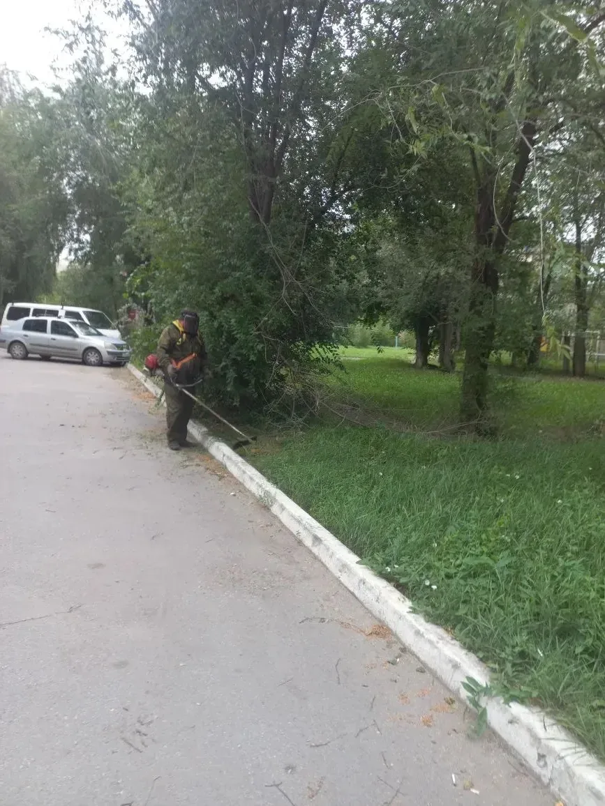 Покос травы: план на эту неделю 🌿