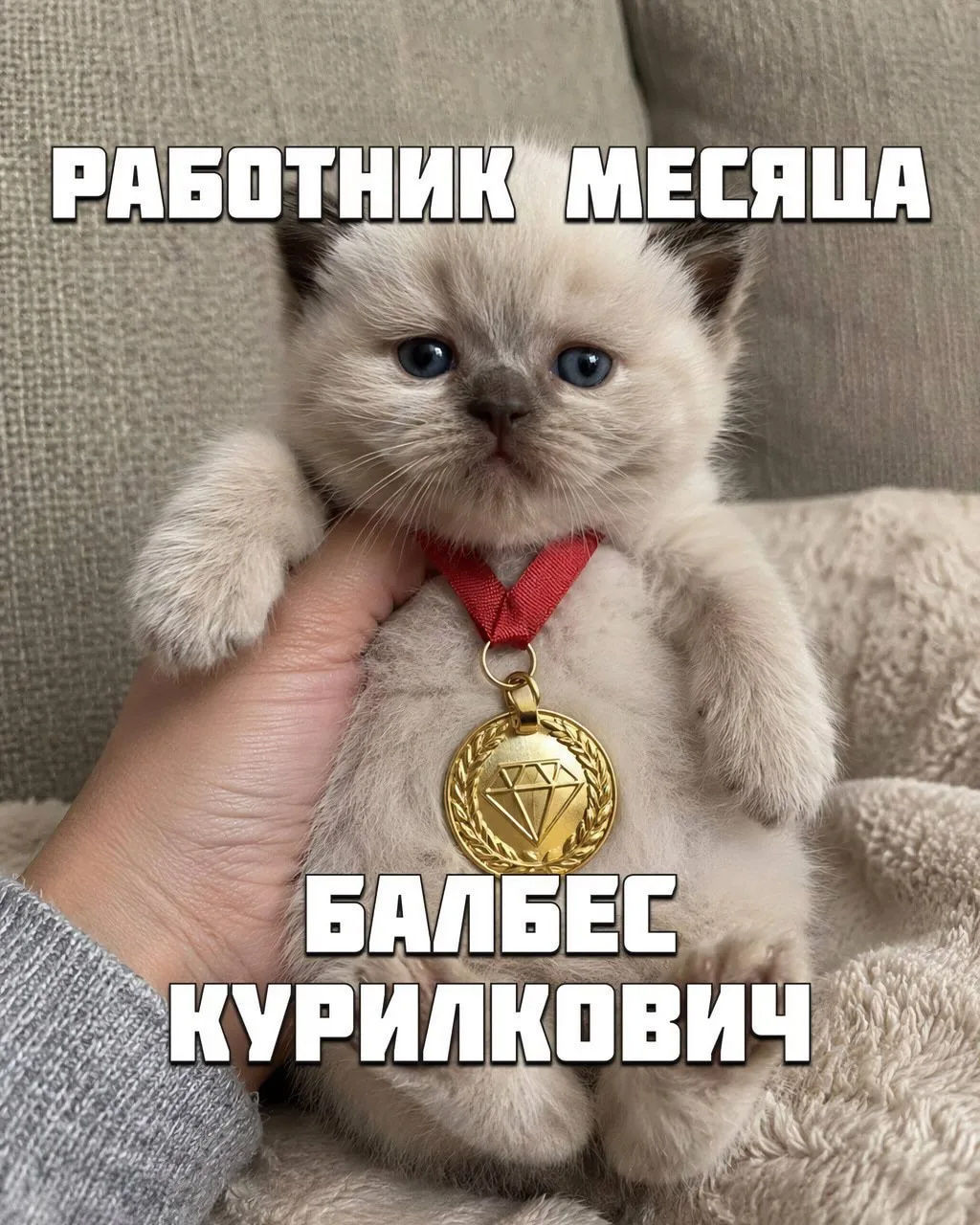 Как выглядят топ-5 работников месяца практически в любом коллективе