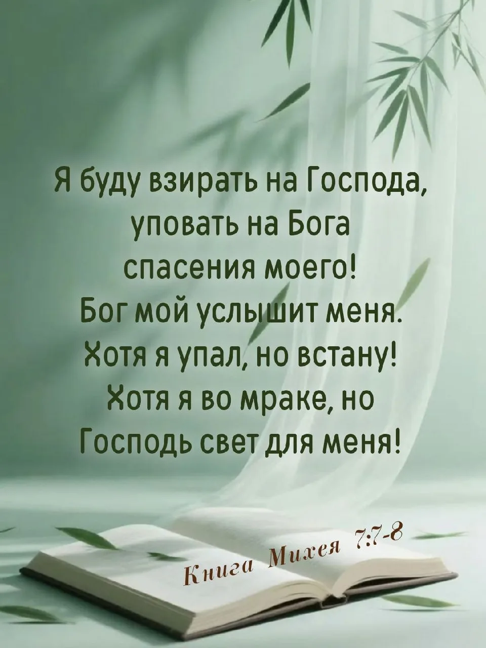 Божьей милости и мира вашему дому! 🙏