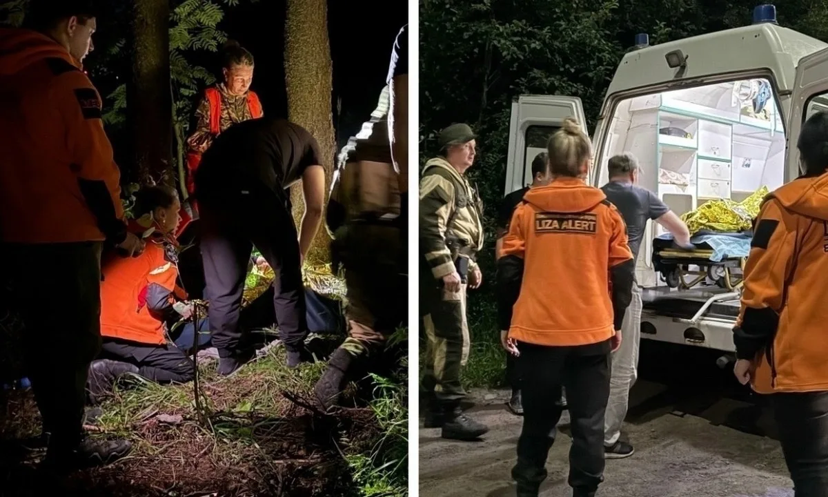 В Петрозаводске пропавшую 68-летнюю женщину нашли ночью обессиленной в лесу.

Заявка на поиск поступ