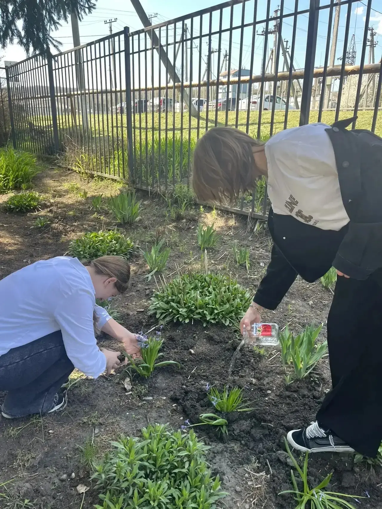 🌷В округе проходит целый цикл мероприятий, посвящённых Дню Победы  В станице Георгиевской учащиеся ш