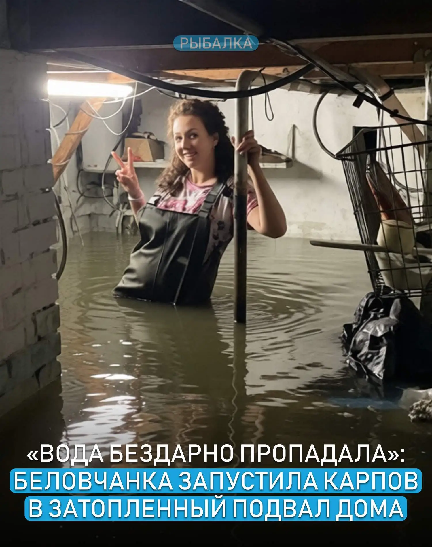 Вот это да! Аквариум в подвале устроила 🤯