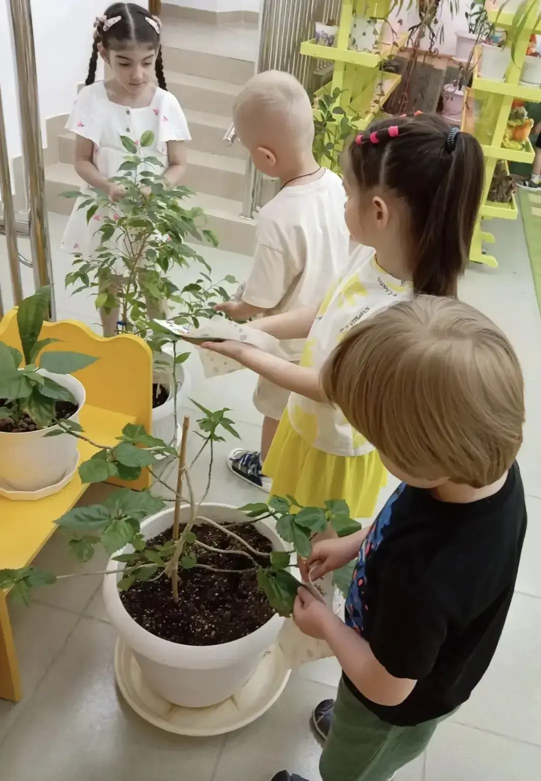 🌸🌍 Международный день цветка в нашем детском саду! 🌍🌸

Это замечательный праздник, который напом