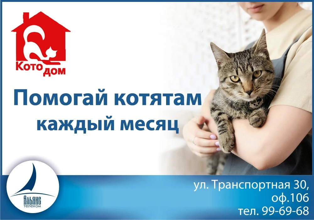 Друзья!