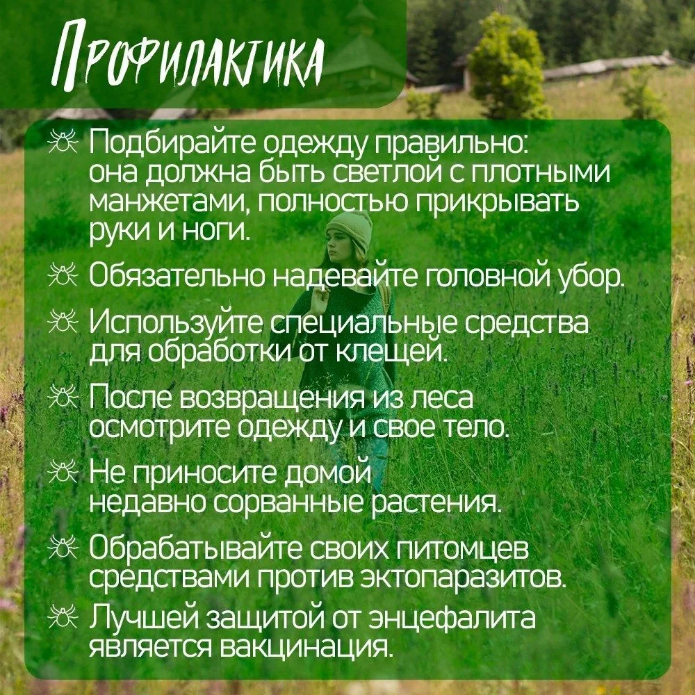 ❗В Тверской области начался сезон активности клещей️ Укус клеща может вызвать не только покраснение 