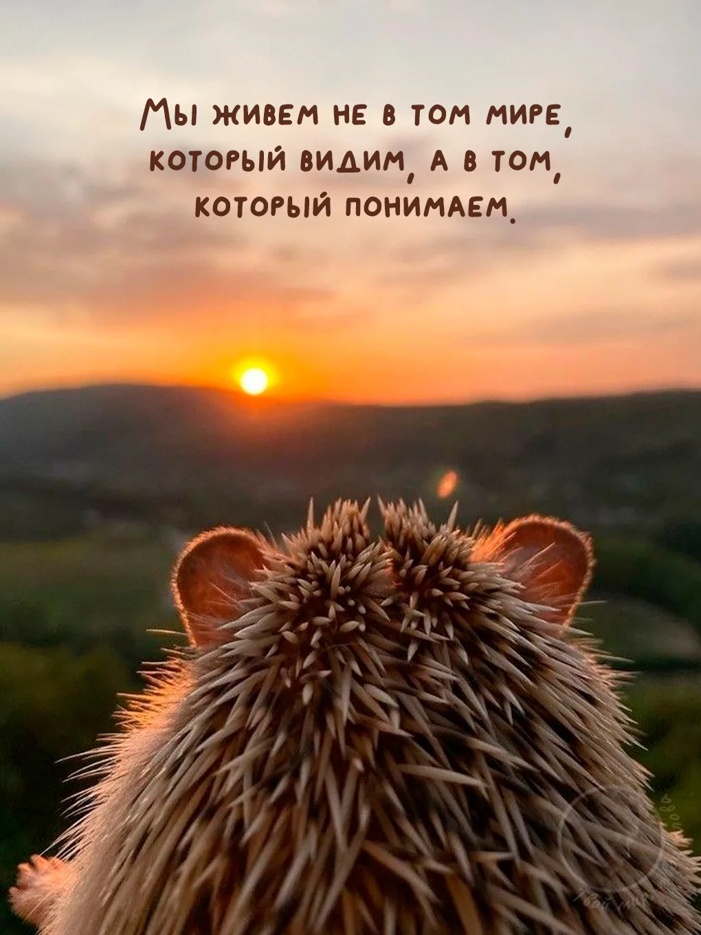 Твой мир, твои слова